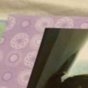 Meet your Posher, Lizbeth